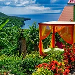 Tropical Paradise View
