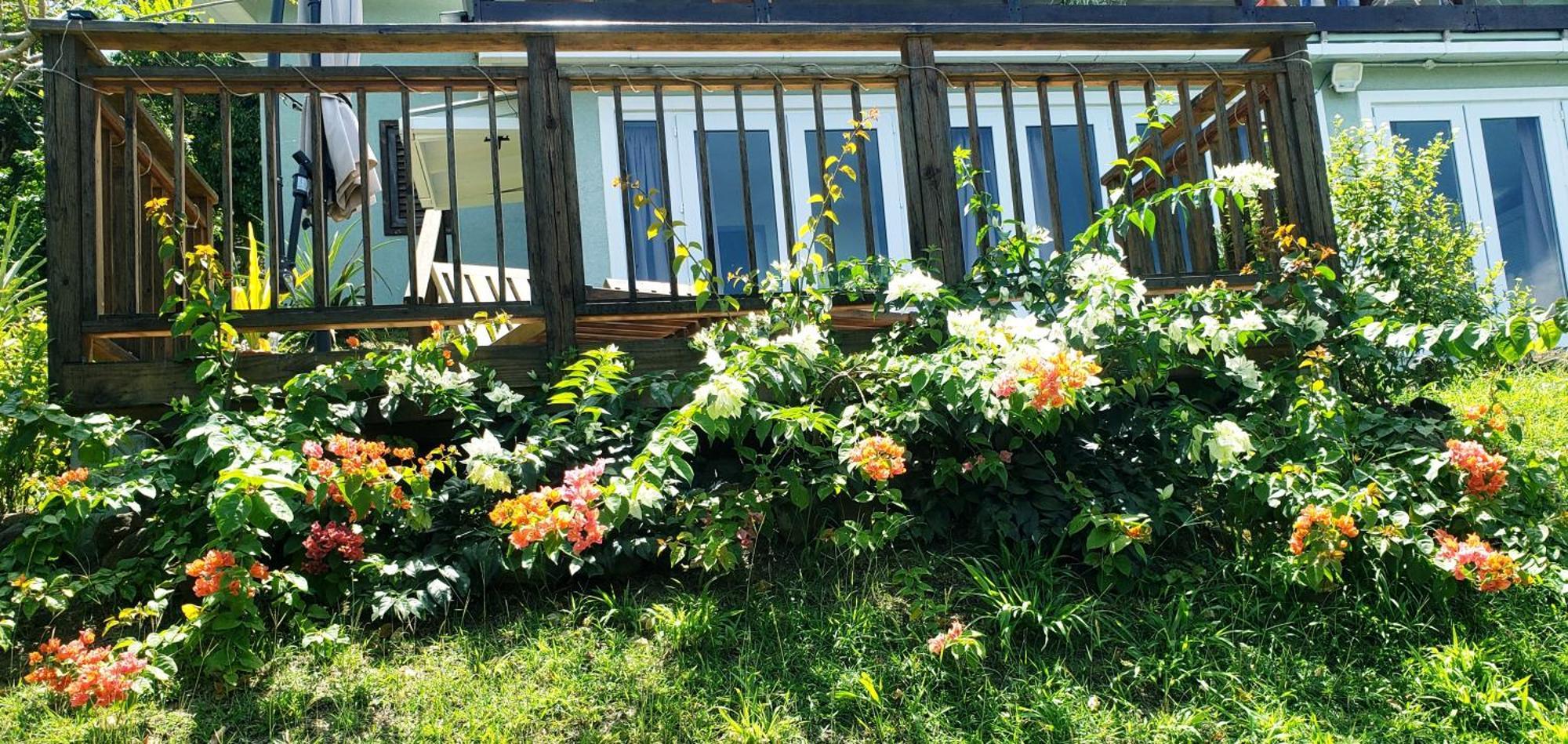 Guest house Memwa