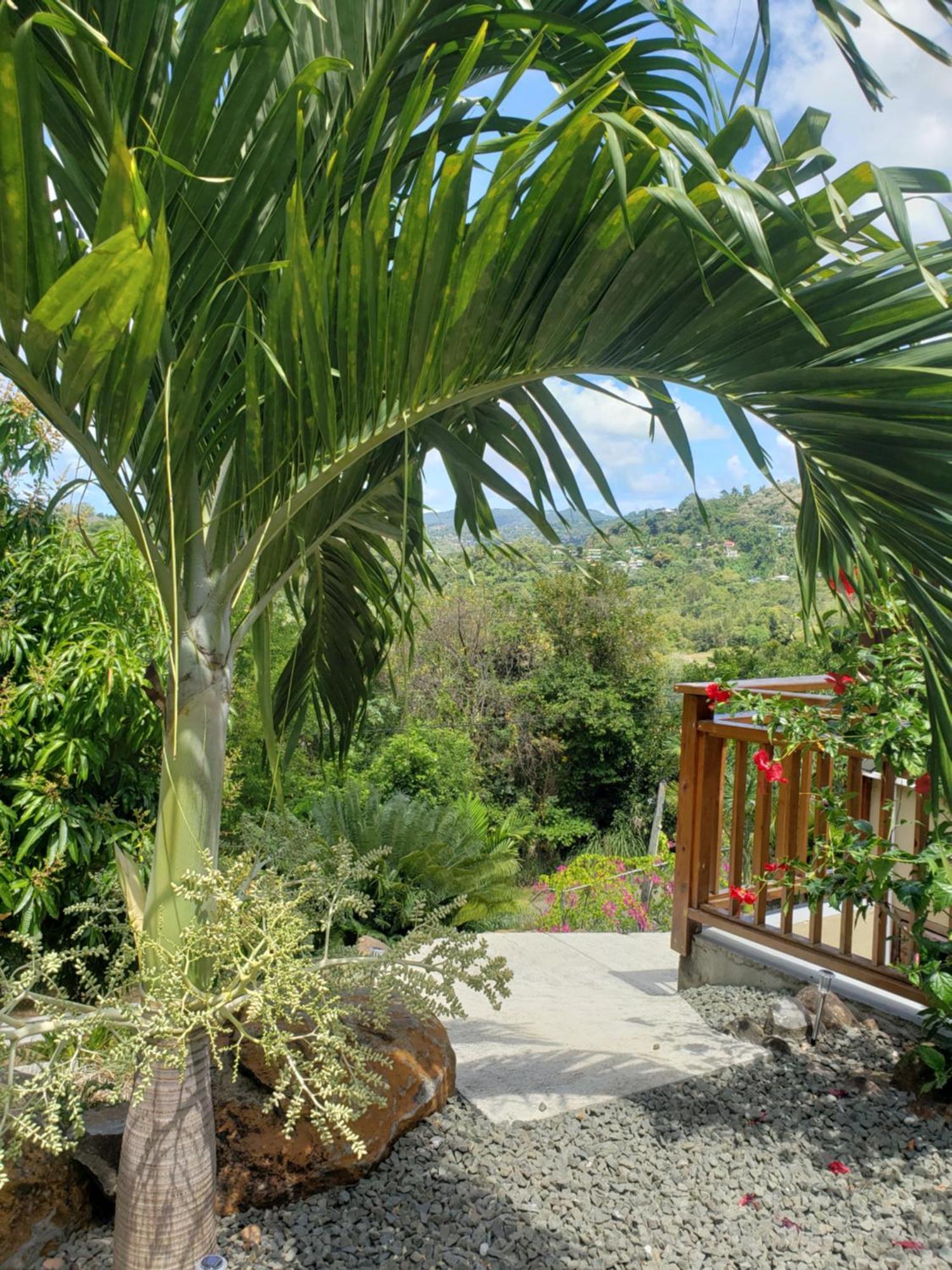 Memwa Guest house *