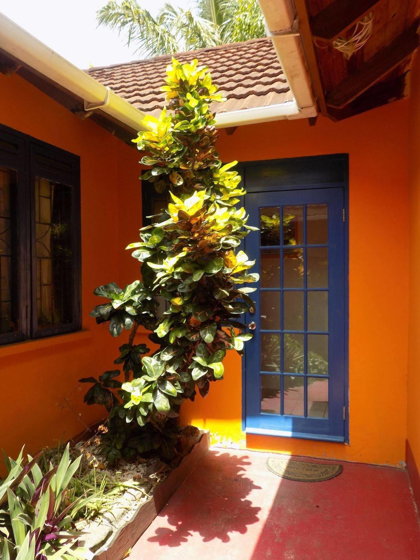 Inn Le Jardin De Rodney Gros Islet